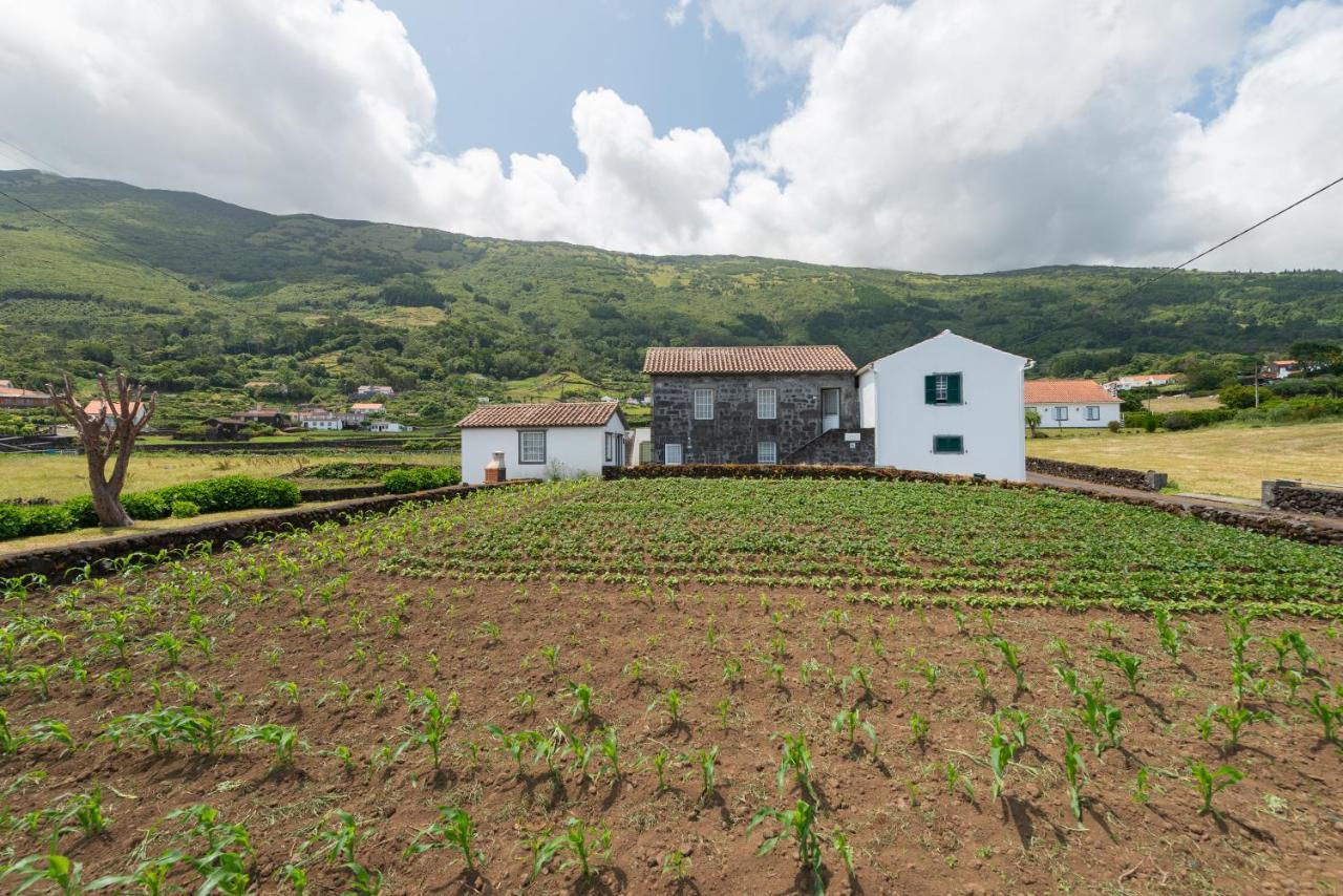 Prainha Apartments São Roque do Pico エクステリア 写真